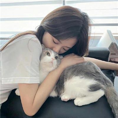 死亡链接封面